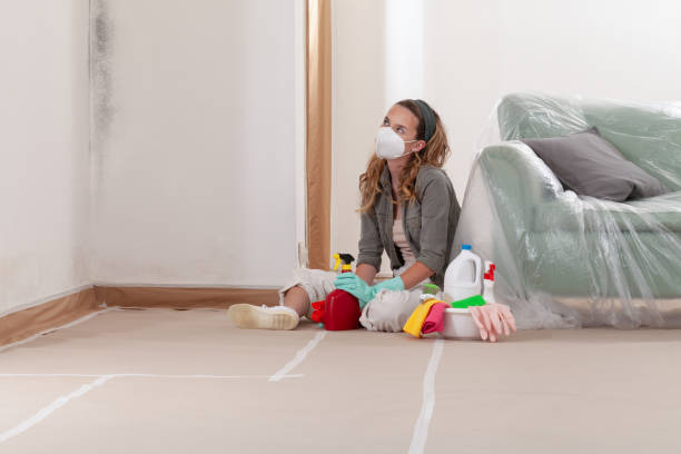 Reliable Black Mold Remediation contractor in Burnsville, MN by Car Mold Remediation